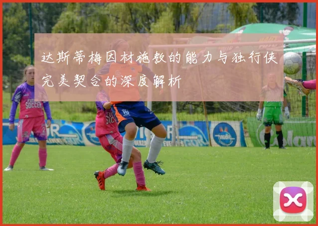 达斯蒂梅因材施教的能力与独行侠完美契合的深度解析